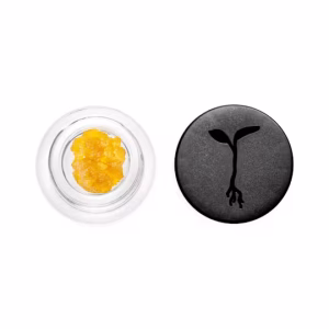 Virgin Purps Live Resin